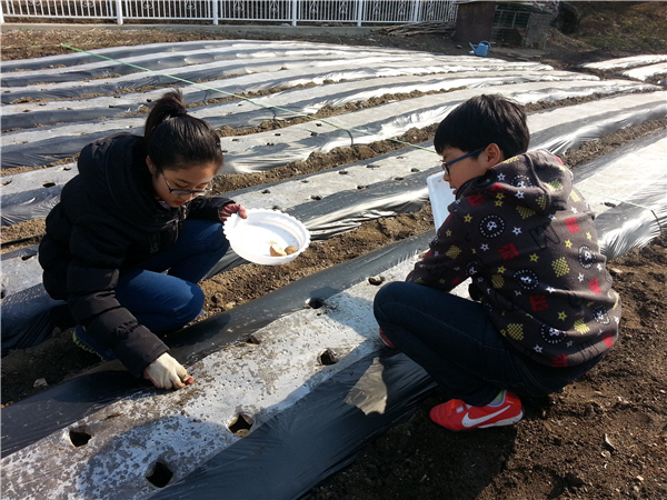 세성초등학교 이미지