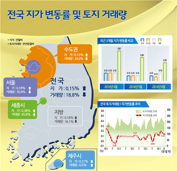 쨍 이미지