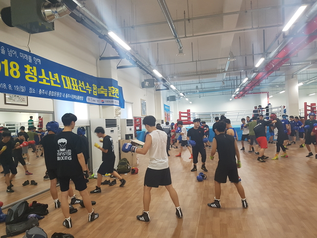 복싱메카 이미지