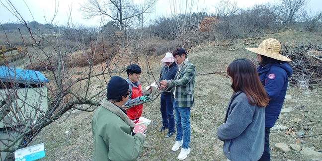 청정과일 이미지