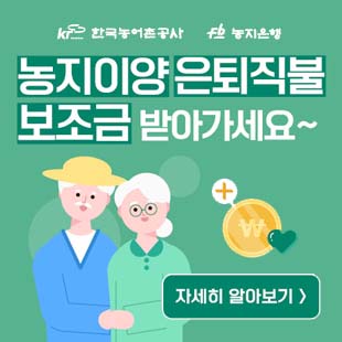 배너