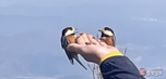 banner 133*73