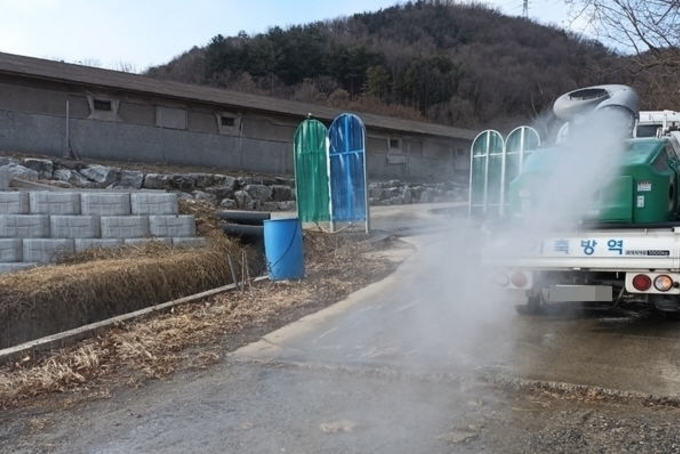 청주 오송 산란계 농장서 'AI 의심축' 발견…정밀 검사 의뢰