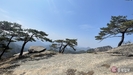 banner 133*73