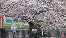 banner 133*73