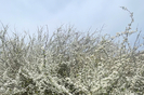 banner 133*73