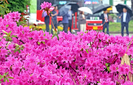 banner 133*73