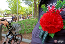 banner 133*73