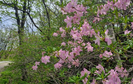banner 133*73