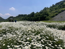 banner 133*73