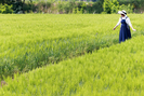 banner 133*73