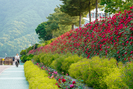 banner 133*73