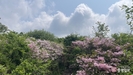 banner 133*73