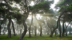 thumbnail 148*82