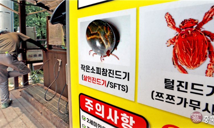 충북 올해 두 번째 SFTS 환자 발생…야외 활동 진드기 주의보