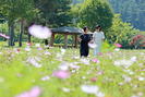 banner 133*73