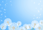 thumbnail 148*82