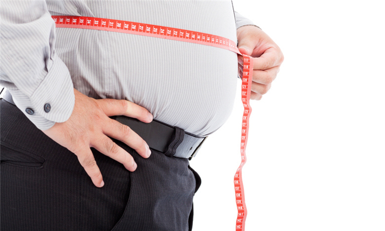 살쪄가는 충북… 단양·보은 3년 평균 비만율 전국 1·3위