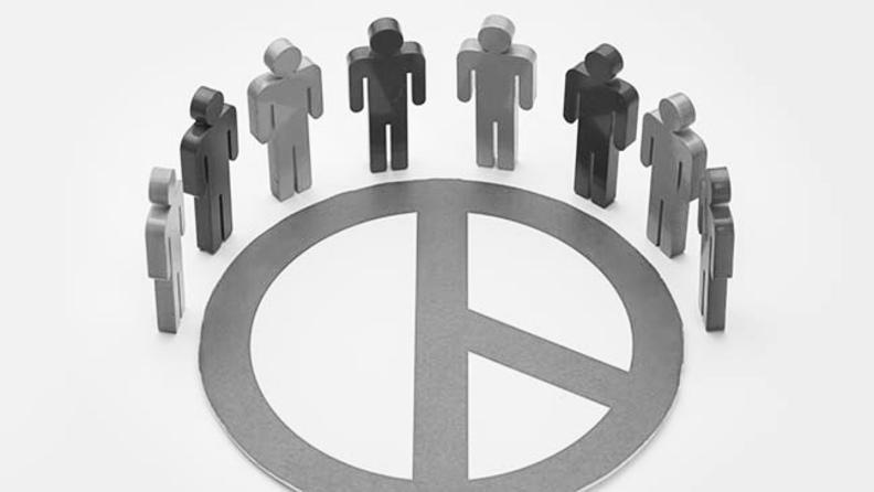 국회 정개특위 가동 "충북도의원 정수는"…지역 대표성 고려 증원 목소리