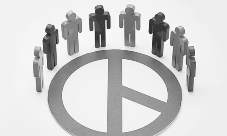 "충북 기초의원 '중대선거구' 확대될까"…지방의원 정수 조정도 촉각