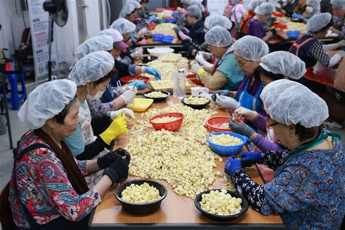 충북도 '일하는 밥퍼' 노인 자살예방 선도 사례 선정