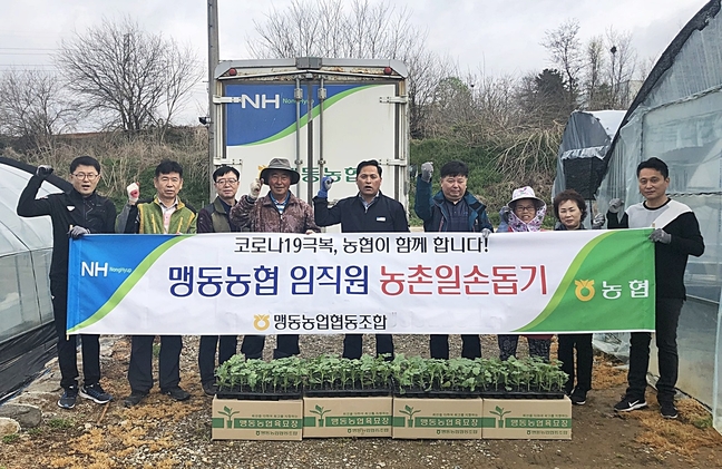 맹동농업협동조합 이미지